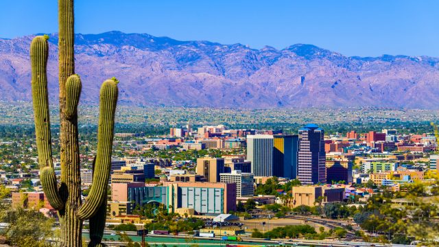 The skyline of Tucson, Arizona with cacti in the foreground