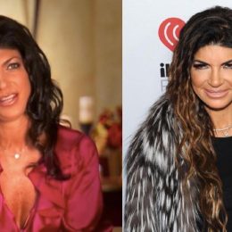 teresa giudice in her first episode and now