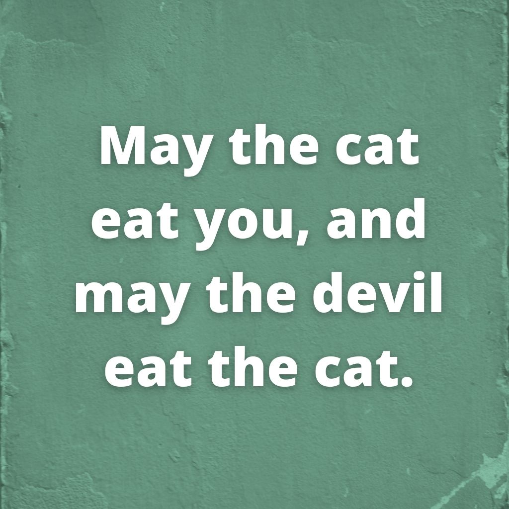 May the cat eat you, and may the devil eat the cat—Irish saying