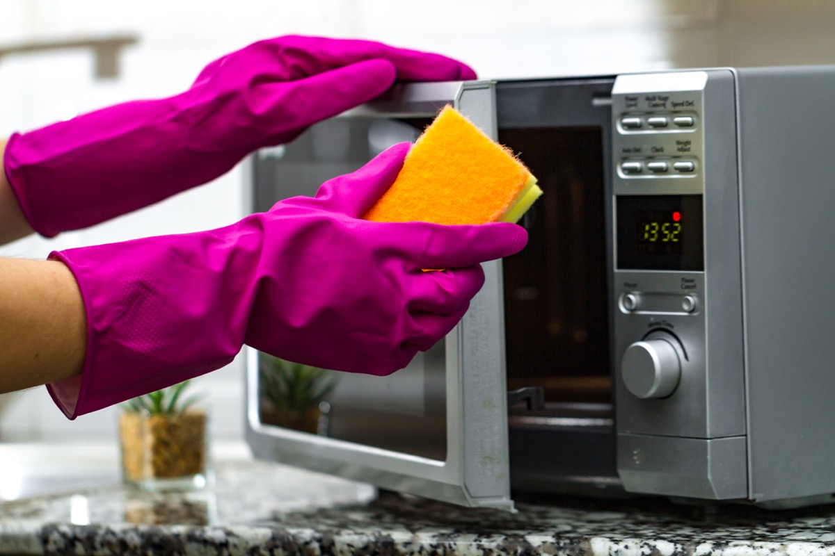 Gloved hands putting sponge in microwave