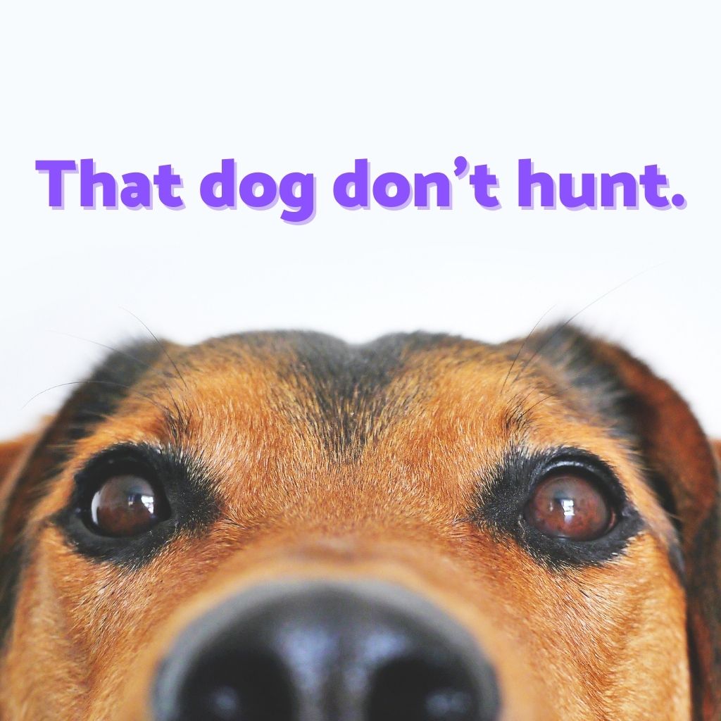 That dog don't hunt