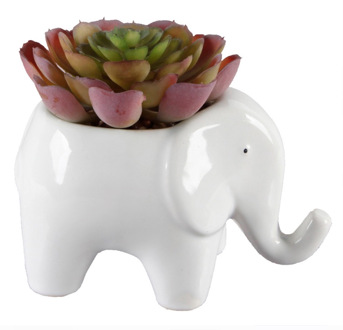 ceramic elephant succulent planter