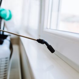 exterminator spraying window