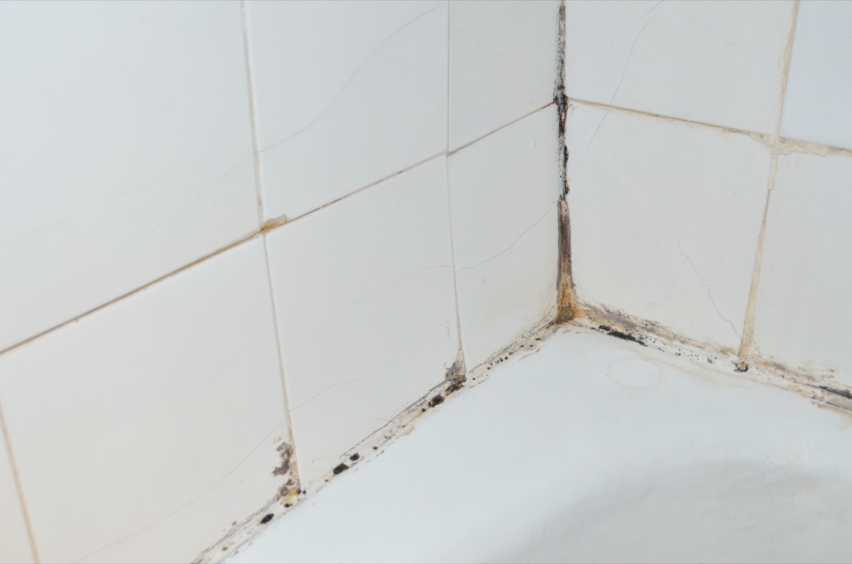 mold or mildew in corner of white tile shower