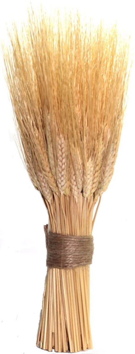wheat sheaves with burlap tie