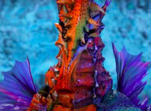 The Seahorse Masked Singer