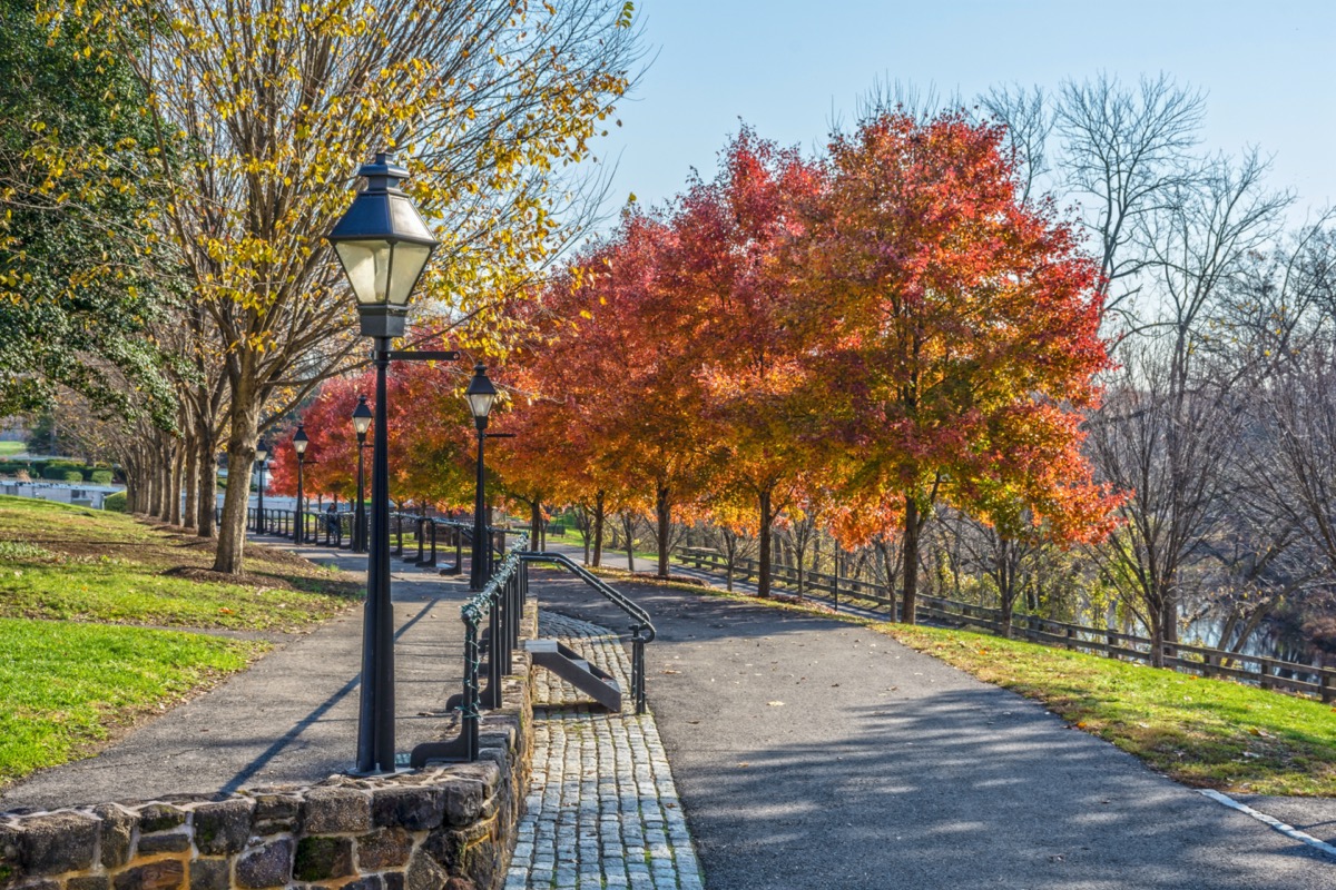 trees and walkway at a park in Burlington County, New Jersey