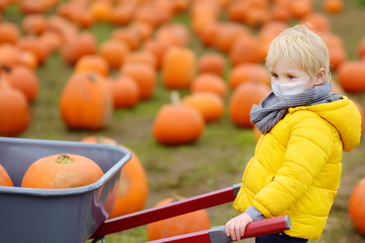 little blond white boy in pumpkin patch wearing covid mask