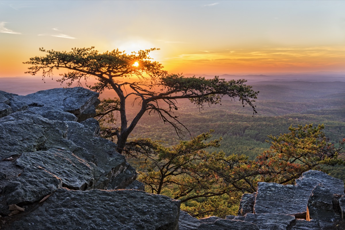 rocks and green trees at sunset at The Cheaha Mountain State Park in Delta, Alabama
