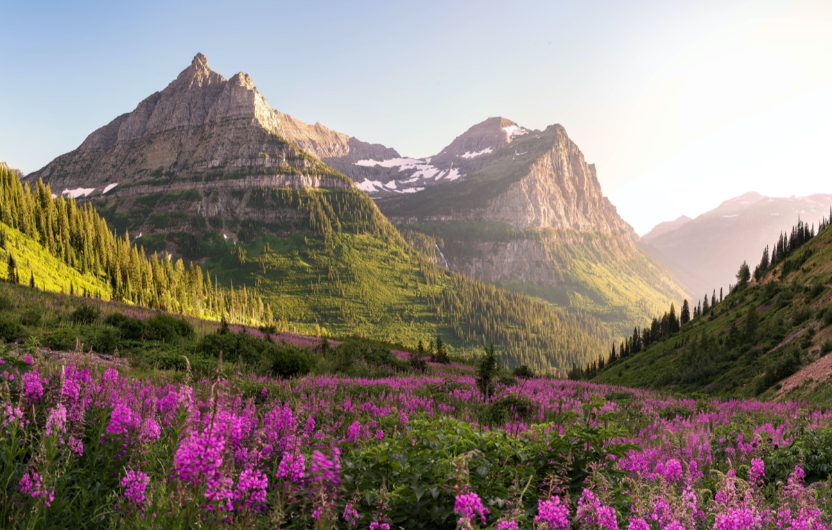 landscape photo of Glacier National Park, Montana in the afternoon