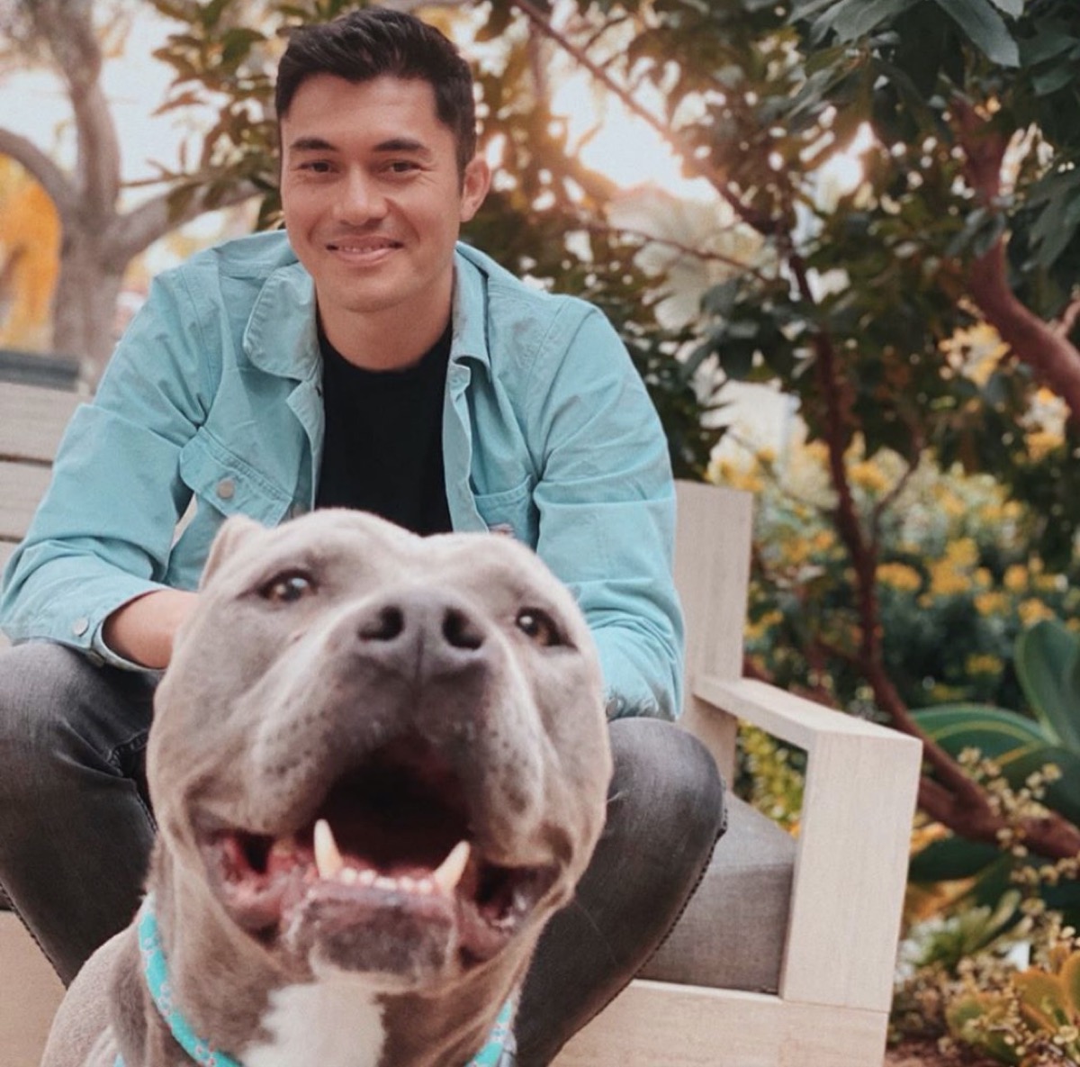 henry golding and pit bull mix dog