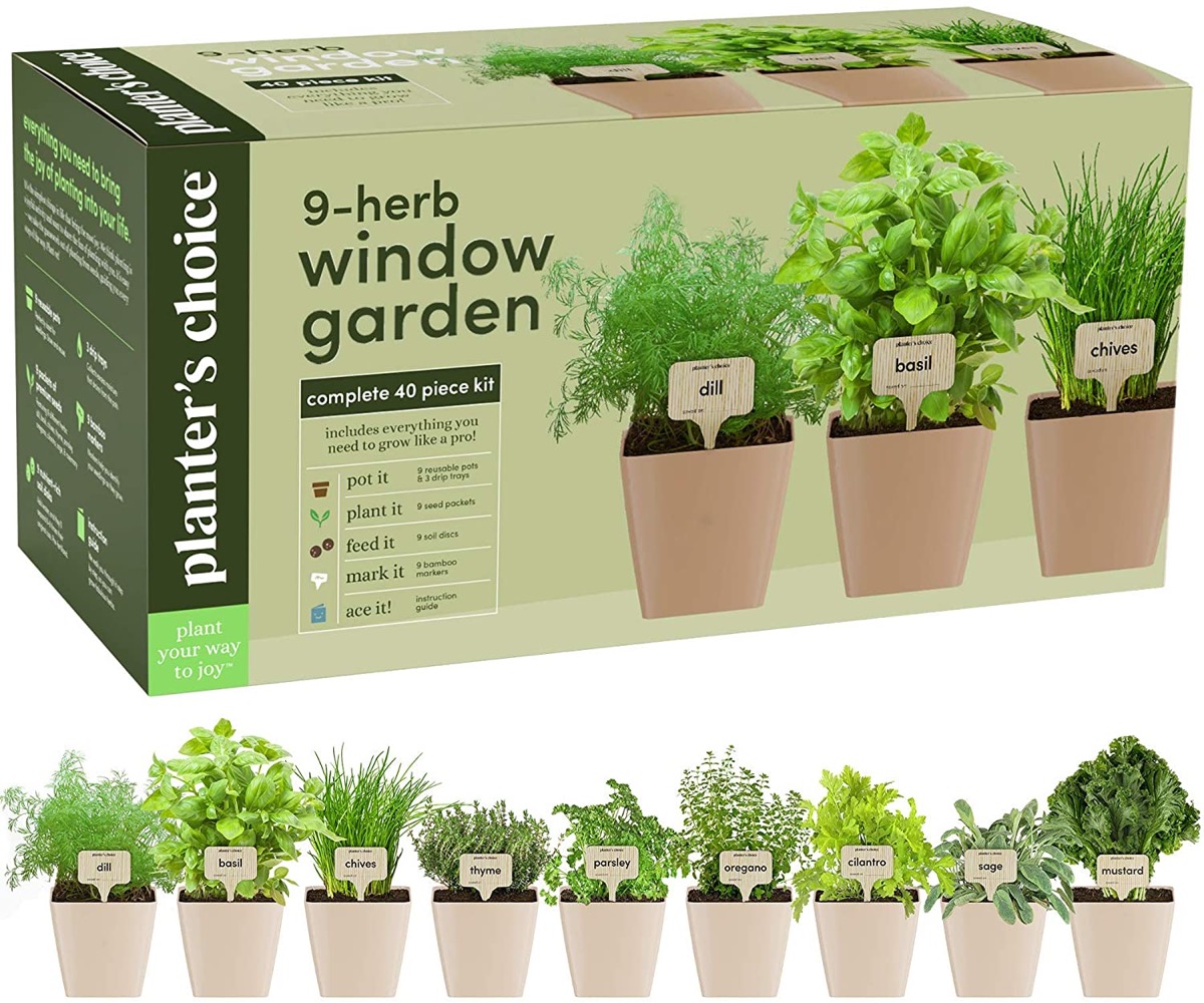 windowsill herb garden with nine plants
