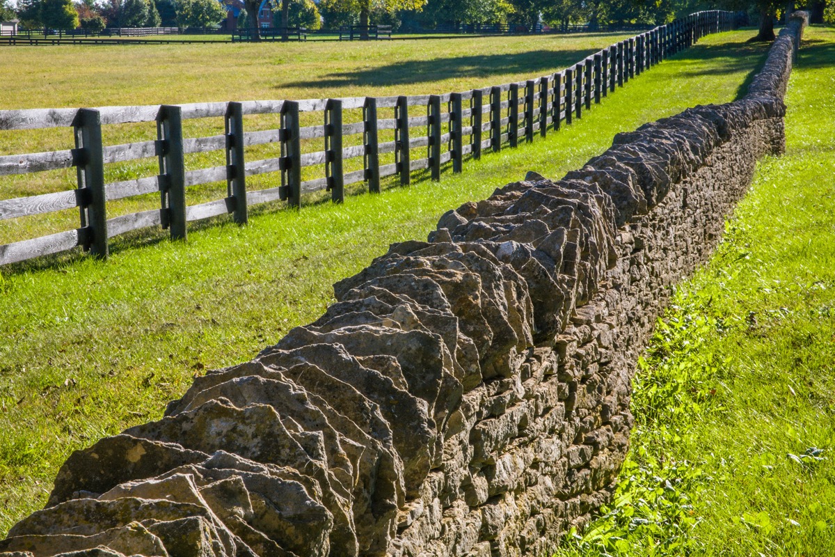 wooden and stone fence on green grass in Lexington, Kentucky