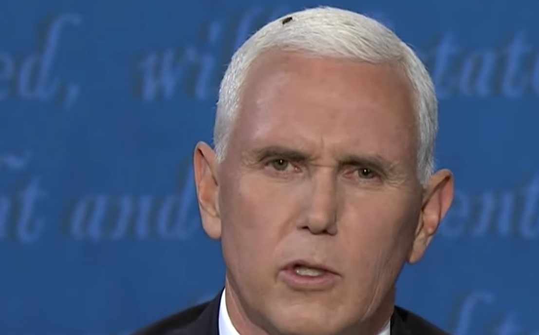 mike pence at vice presidential debate with a fly on him
