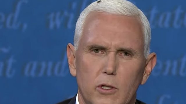 mike pence at vice presidential debate with a fly on him