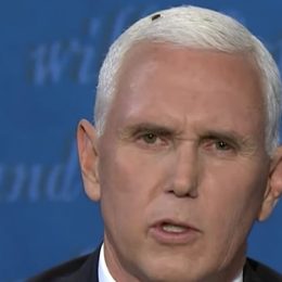 mike pence at vice presidential debate with a fly on him