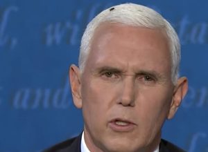 mike pence at vice presidential debate with a fly on him