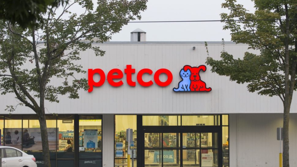 Petco Will No Longer Sell Electric Shock Collars — Best Life