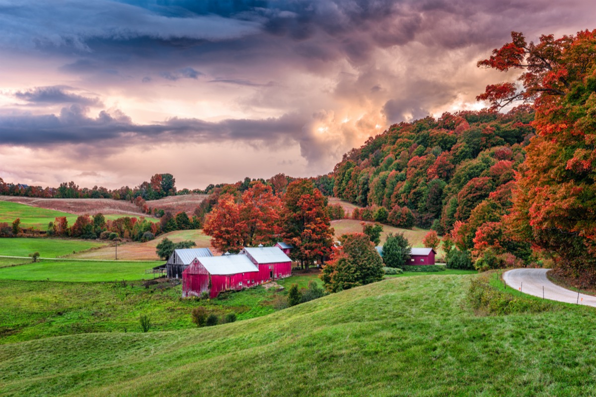 red farmhouses, orange trees, and rural land in Reading, Vermont at sunrise