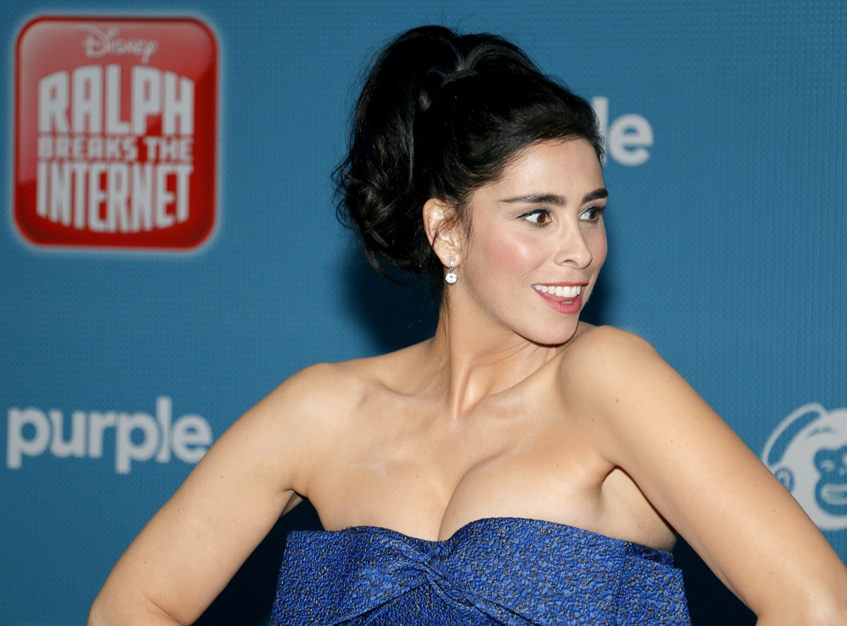 Sarah Silverman wears a blue dress at the premiere of 'Ralph Breaks the Internet' in 2018