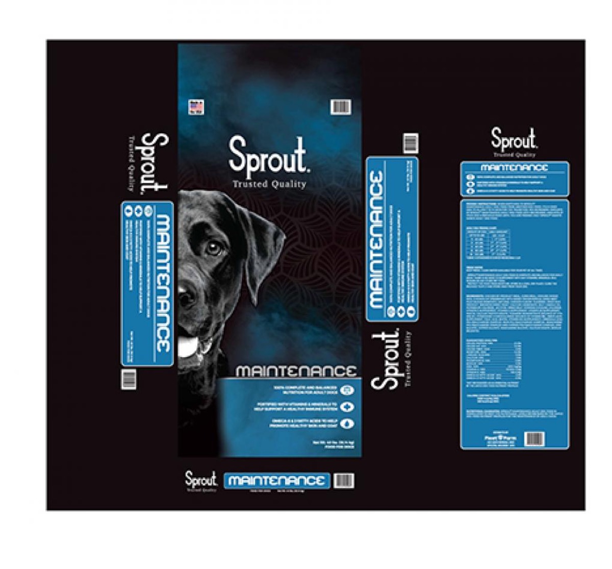 If You Feed Your Dog This, the FDA Says to Stop Immediately — Best Life