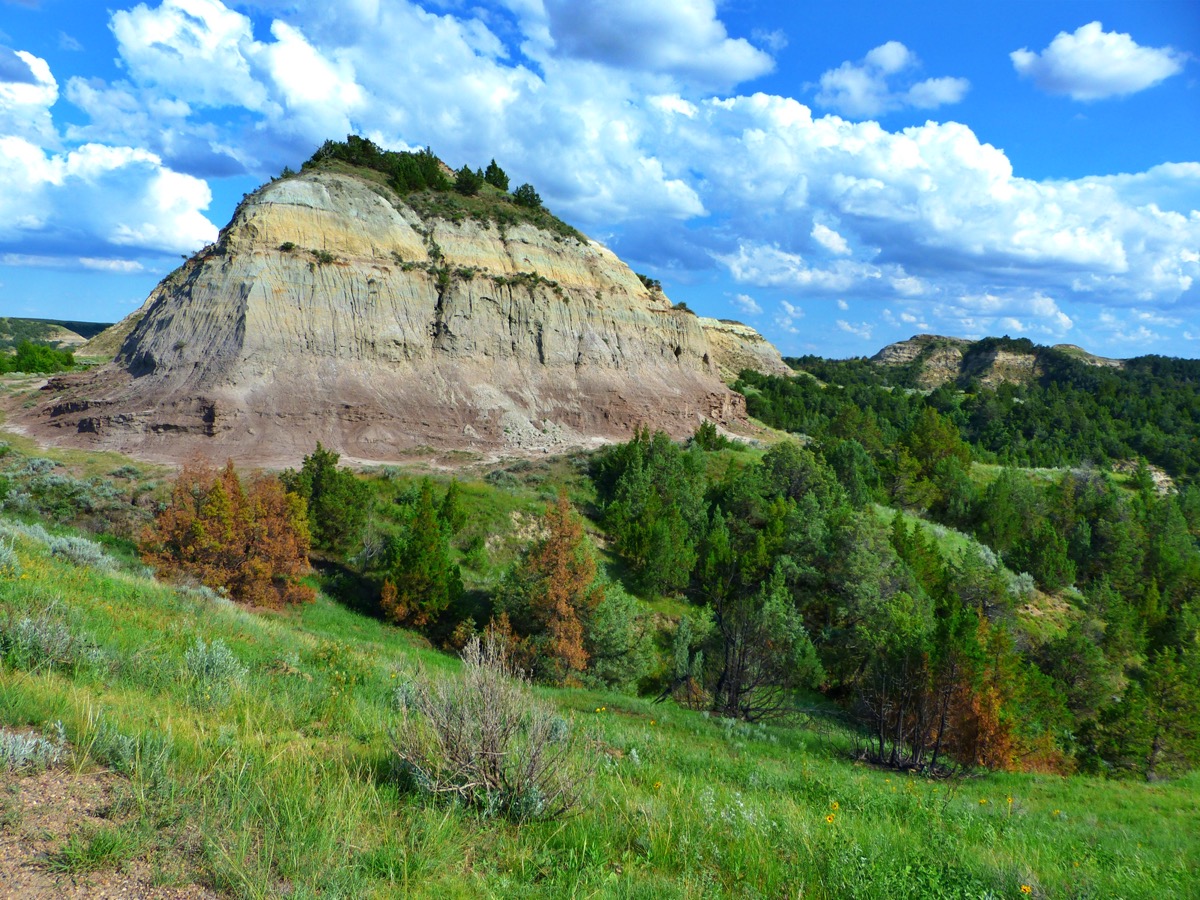 a butte and green trees at Theodore Roosevelt National Park in North Dakota