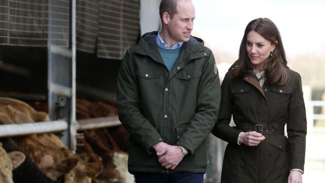 Royal Visit to Ireland by The Duke and Duchess of Cambridge. Pictured British royal couple Prince William and Kate Middleton beside cattle on a Teasgasc farm in Co Kildare as they visit Ireland in their first official visit to the Irish State.