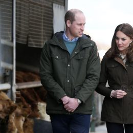 Royal Visit to Ireland by The Duke and Duchess of Cambridge. Pictured British royal couple Prince William and Kate Middleton beside cattle on a Teasgasc farm in Co Kildare as they visit Ireland in their first official visit to the Irish State.