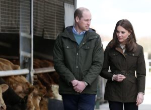 Royal Visit to Ireland by The Duke and Duchess of Cambridge. Pictured British royal couple Prince William and Kate Middleton beside cattle on a Teasgasc farm in Co Kildare as they visit Ireland in their first official visit to the Irish State.