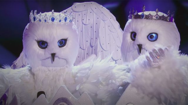 Snow Owls on The Masked Singer