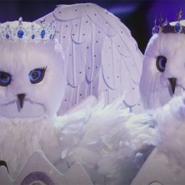 Snow Owls on The Masked Singer