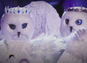 Snow Owls on The Masked Singer
