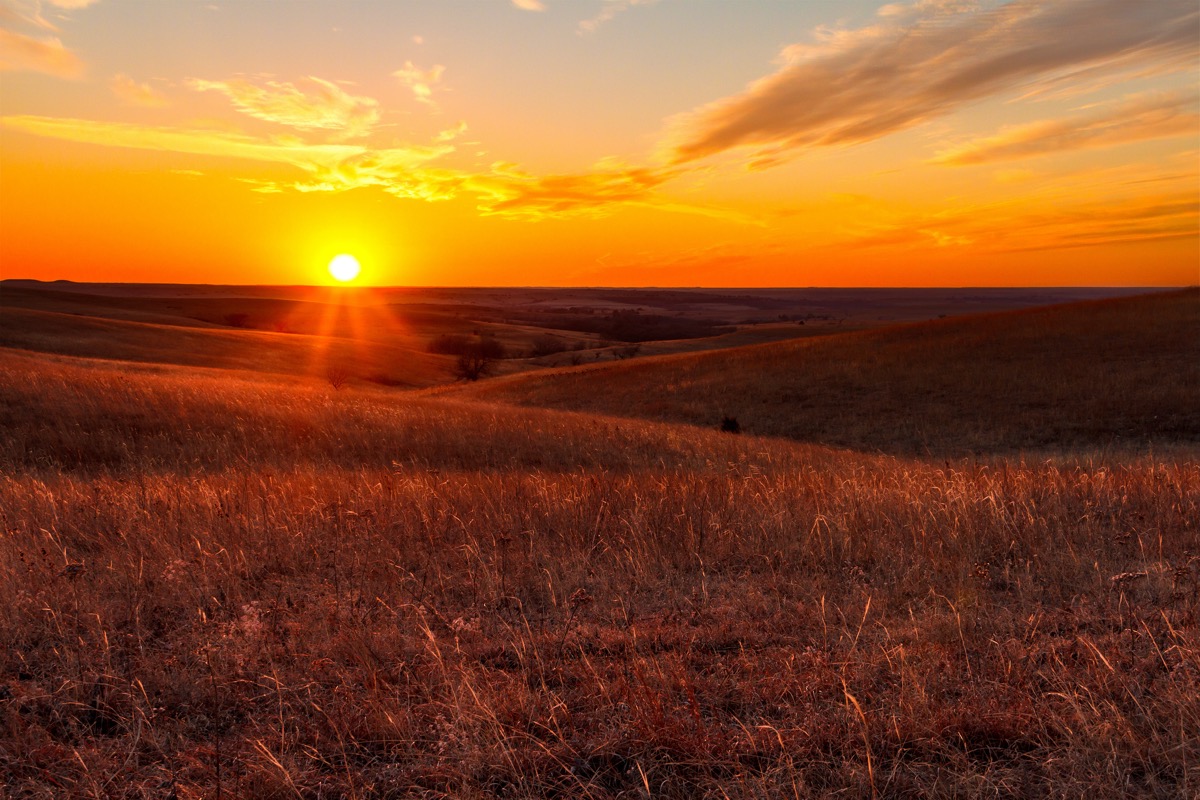 landscape photo of a field in Alma, Kansas at sunset