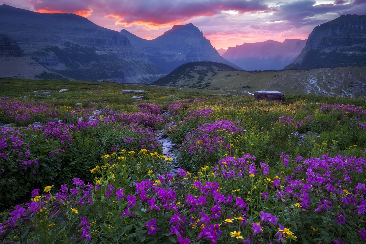 glaciers and a meadow in Glacier National Park, Montana at dusk