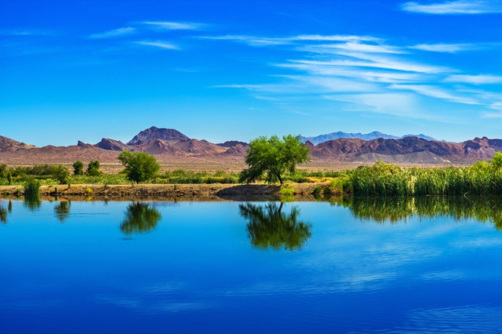tree reflections on a a pond with a mountain behind in Henderson, Nevada