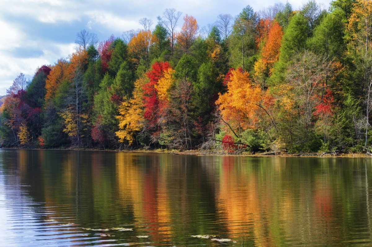 fall trees reflecting on the shoreline of Bay Mountain Lake Park in Kingsport, Tennessee