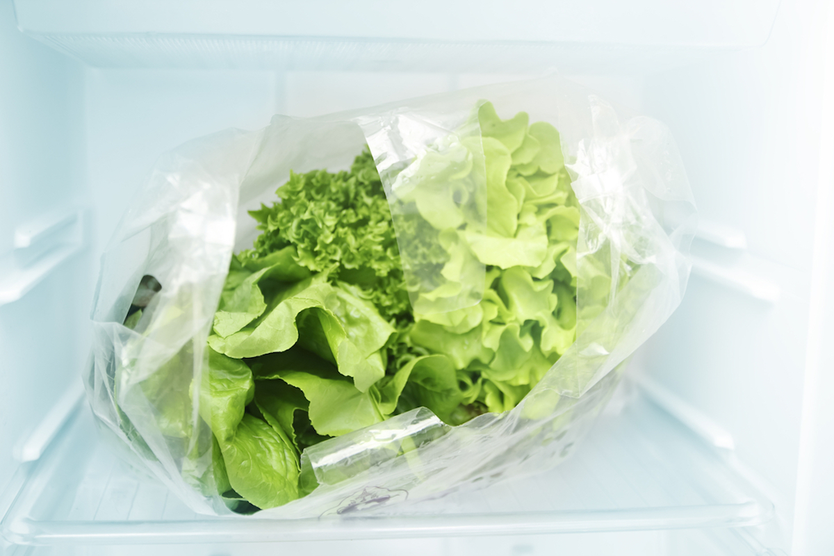 lettuce in bag in the fridge