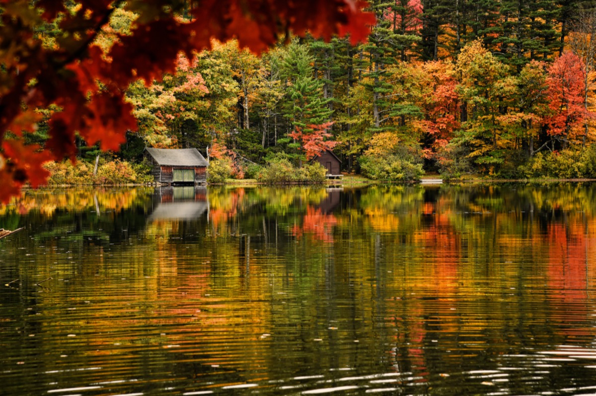 autumn trees and lake in North Conway, New Hampshire