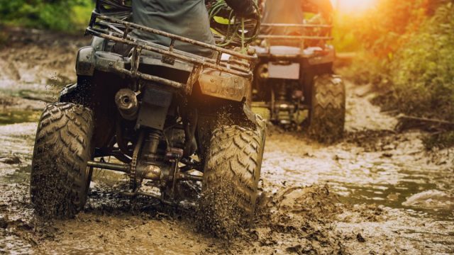 people riding atvs in mud