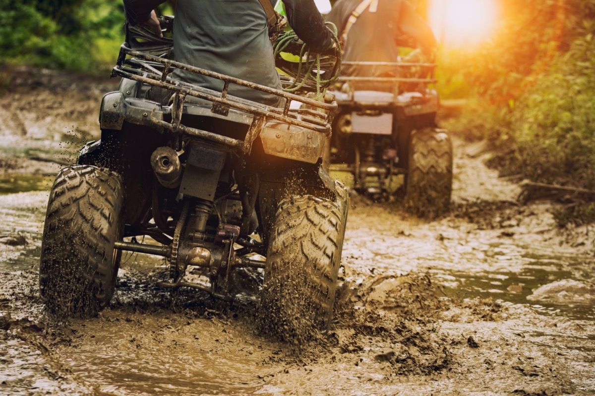 people riding atvs in mud