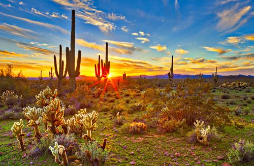 Landschaftsfoto von Phoenix, Arizona bei Sonnenuntergang