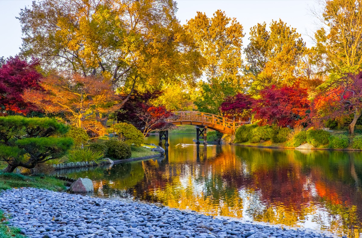 Teich in einem Park mit Herbstbäumen in St. Louis, Missouri