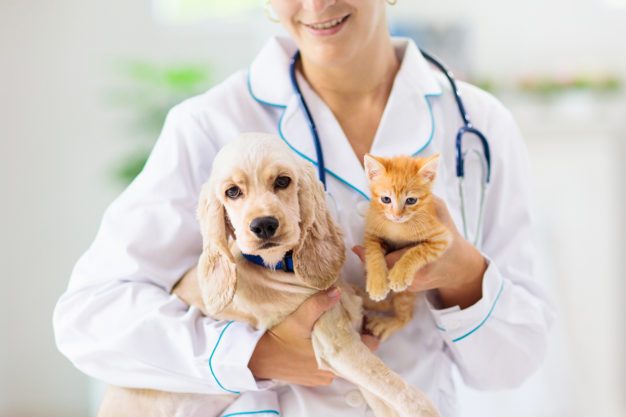 A female vet holds a puppy and kitten in her arms.