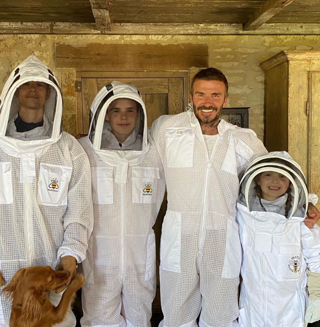 David Beckham and kids beekeeping