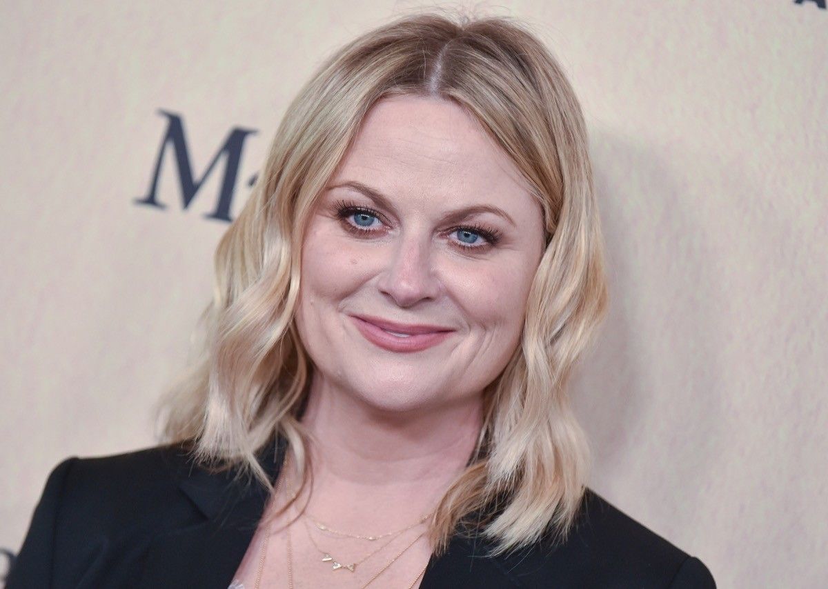 Amy Poehler at the Women In Film Gala in 2019