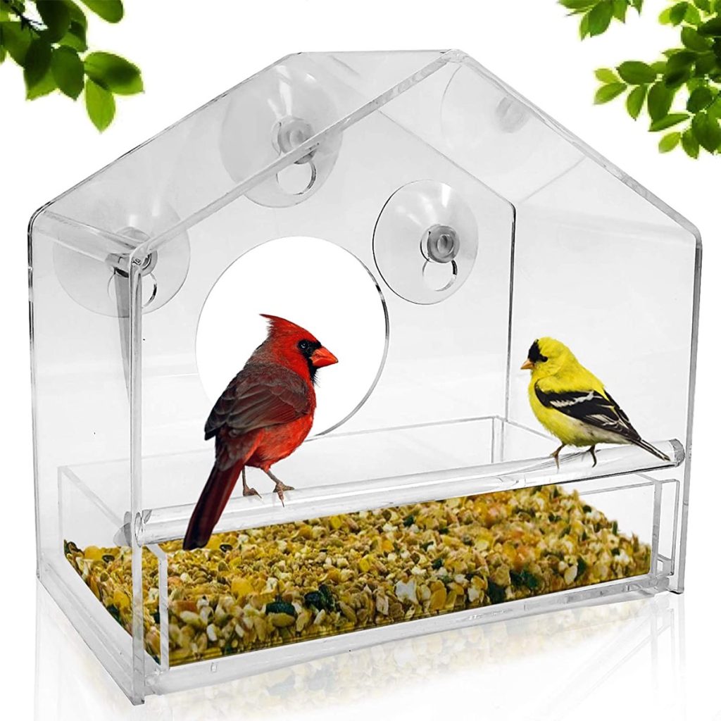 clear bird feeder with a red and yellow bird inside