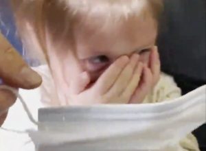 toddler refuses to wear mask, gets kicked off united flight