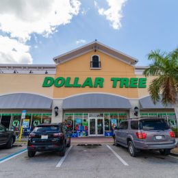 the outside of and parking lot in front of a Dollar Tree Store in Fort Myers, Florida