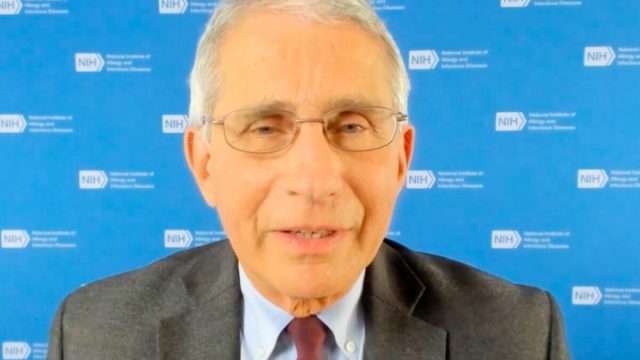 Dr. Fauci on BBC