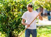 middle-aged man raking in yard
